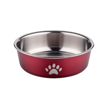 Food Bowl with Paw Design