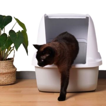 Cat Litter Tray with Dome