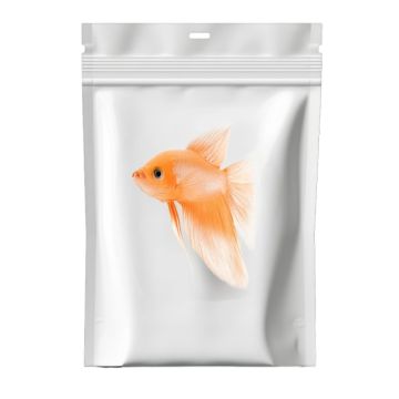 ProFish Protein Rich Premium Fish Food