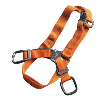 Comfort Fit Dog Harness