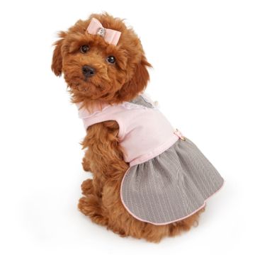 Dog’s Flared Dress with Bow