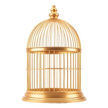 Decorative Golden Bird Cage