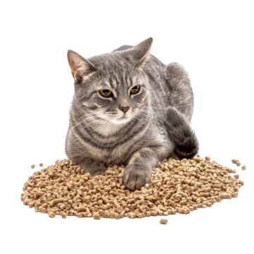 Non-Clumping Natural Cat Litter - 2kg pack