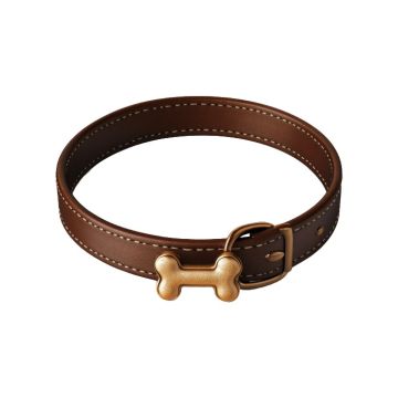 Dog Collar with Bone Pendant