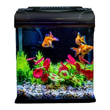 Compact Nano Fish Tank