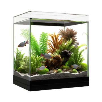 Nano Fish Tank