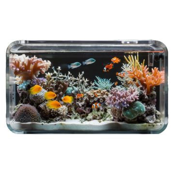 Medium Size Freshwater Fish Tank