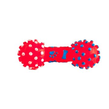 Durable Rubber Chew Toy