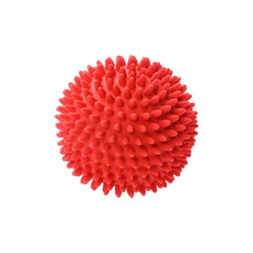 Rubber Squeaky Chew Toy