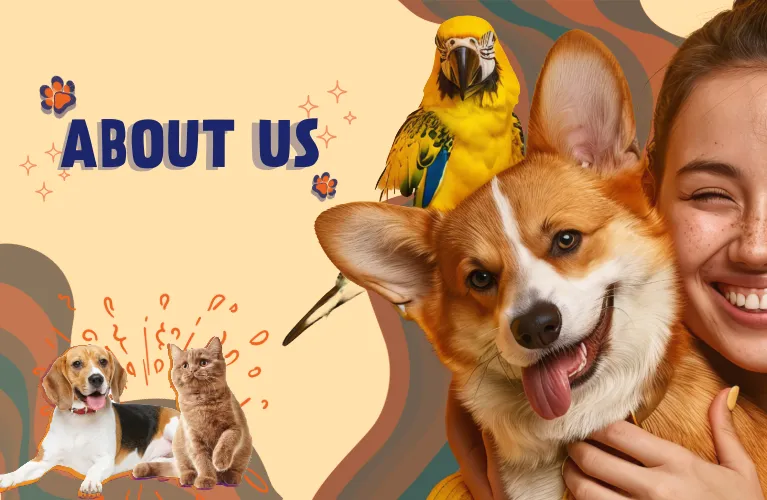 about-desktop-banner